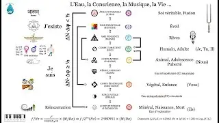 L'eau, la musique, la conscience et la vie
