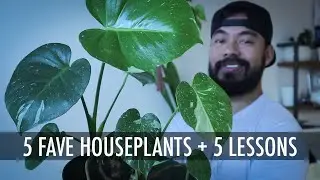 5 Houseplants I’m Feeling Right Now | Favorite Indoor Plants Spring 2021