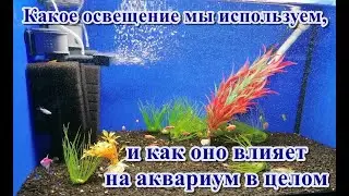 Какое освещение мы используем, и как оно влияет на аквариум в целом