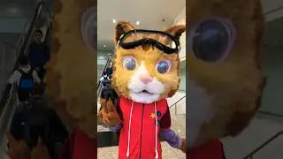 Spiele DAS ab - und deine Katze kommt sofort zu dir! 🔥 @ilyasozocker @gamescom.global #shorts
