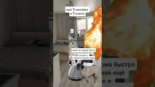 Школа💥💥💥 #мем #мемныекоты#жиза#котики#рекомендации#глобальныерекомендации#школа#смешныевидео#врек