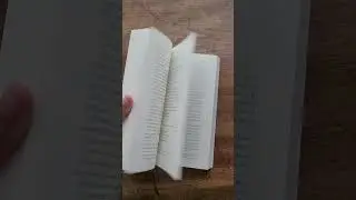 The Rat Catcher • Book Flip-Through