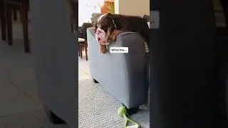 Да что вы знаете о настоящих потерях?🙄