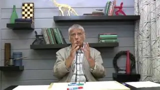 P  и NP задачи