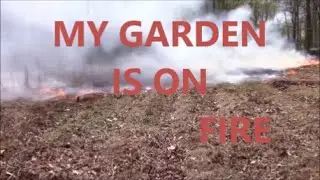 MY GARDEN IS ON FIRE ~ PICKERICK1
