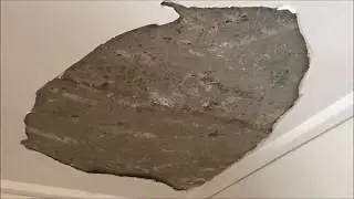 Plaster Repairs - Section of Ceiling Popped off