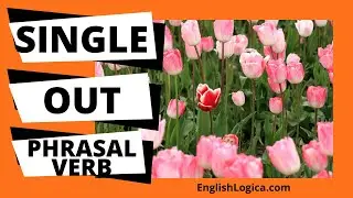 Single Out - Phrasal Verb | Common Phrasal Verbs in English | Business English & Everyday English