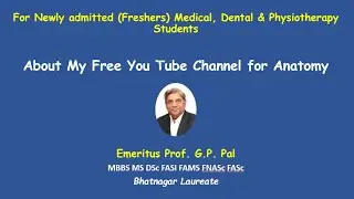 About my you tube channel