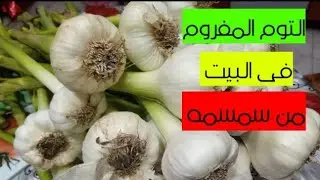 تخزين الثوم واستغل لينا العروش الثوم