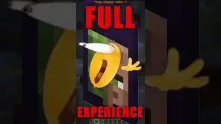 Minecraft Experience: Villager Rescue Cape #minecraft #minecraftcape #capes #news #breakingnews