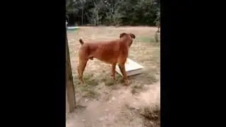 video 2012 09 22 16 20 23