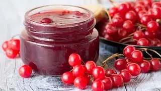 10 лучших рецептов заготовок из калины на зиму