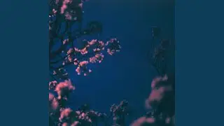 DREAM