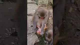 stepmother with a baby