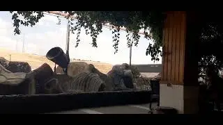 استراحة في تركيا على الحدود العراقية