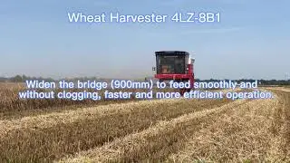 Wheat Harvester 4LZ-8B1 / Wheat Harvesting Machine /  Grain Combine Harvester