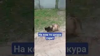 #муся #тимасветлогорских