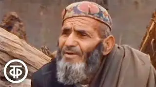 Афганистан: необъявленная война. Документальный фильм (1985)