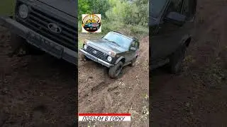 👉НИВА БРОНТО. 
