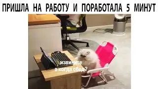 #мемы2022