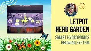LetPot Seed Planting