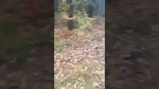 Снег! ❄