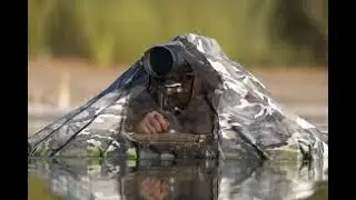 Fotografia de fauna - A Corta Distancia Hidrohide