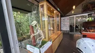 Holiday vlog#06,24 sun bear di sepilok sabah malaysia