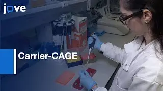Super-low Input Carrier-CAGE to Map Transcription Start Site | Protocol Preview