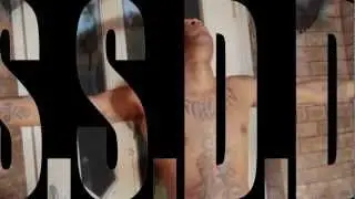 40b-S.S.D.D (Same Shit Different Day )