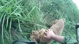Охота на утку 2018