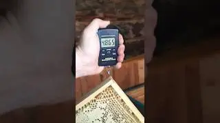 отбираем лишние рамки  у пчёл.