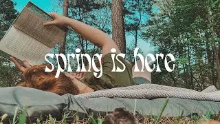 celebrating spring 🍃 chatting about media burn out, reading romance, decor updates 🌷 vlog 08