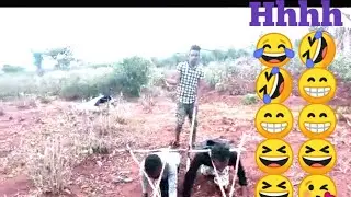 the funny peoples 