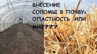 Внесение соломы и опилок в почву в теплице. Результат спустя 1 год. Отвечаю на вопросы.
