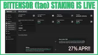How To Stake Bittensor (TAO)