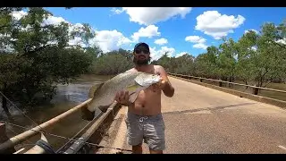 Barramundi RUNOFF fishing Queensland trip 2024 episode 8