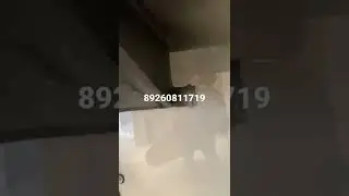 27 мая 2022 г.