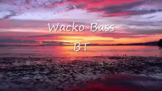Wacko Bass - BT