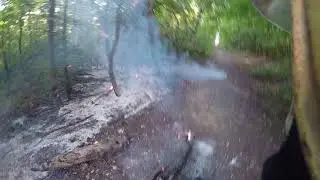 Трава и ЗАБРОШЕННЫЙ КУРЯТНИК