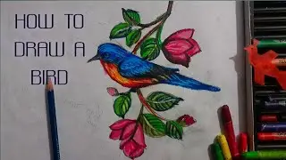 How to draw a bird // পাখি আঁকার পদ্ধতি