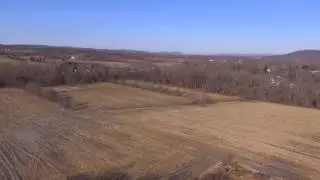 maybe deer