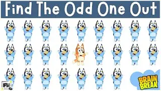Find the ODD One Out - Bluey | Brain Break | Bluey Game For Kids