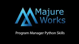 Program Manager Python Skills