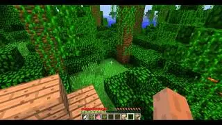 Minecraft Bölüm 1 - ilk gece hayatta kalma
