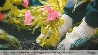 Экоотряды Северодвинска высадили цветник у Доски почёта // VDVSN.RU