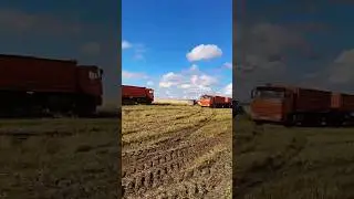 САМОСВАЛЫ ЗЕРНОВОЗЫ КАМАЗ / ПОЛЕВЫЕ УБОРОЧНЫЕ РАБОТЫ / СпецАгроТрейд