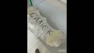 Откорм Хрюш Грамотное #животноводство #автопоение #поросята #свиньи