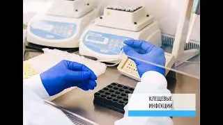Клещевые инфекции