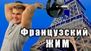 Features of the French press. Statics exercise